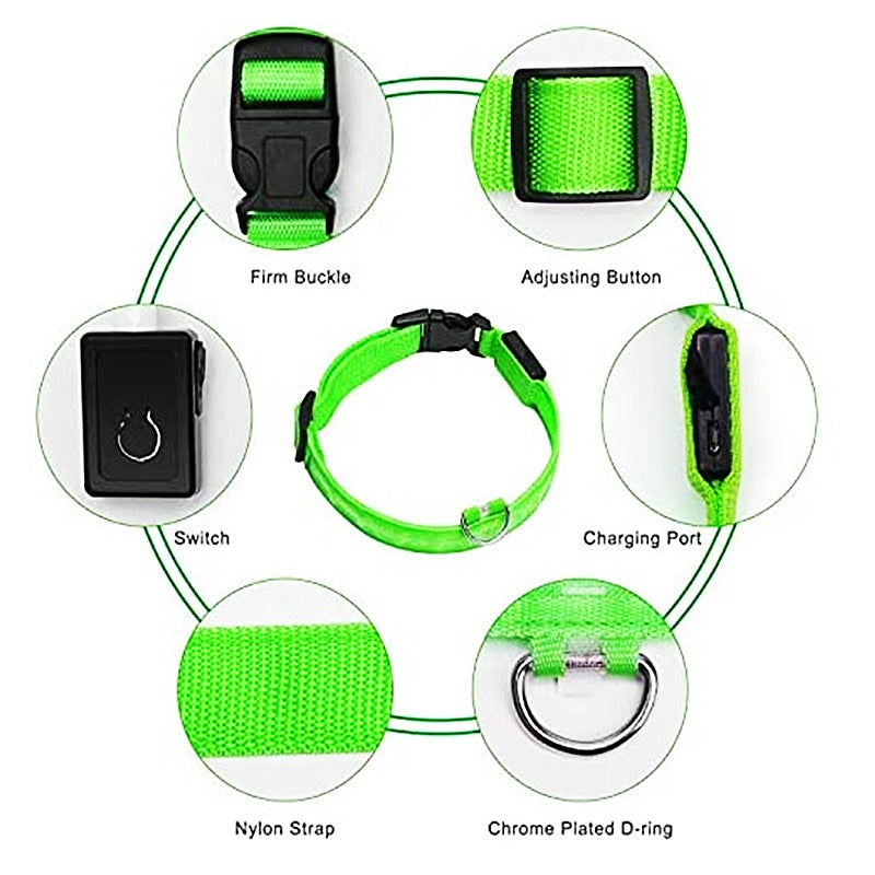 Collar para perro ajustable con luz LED