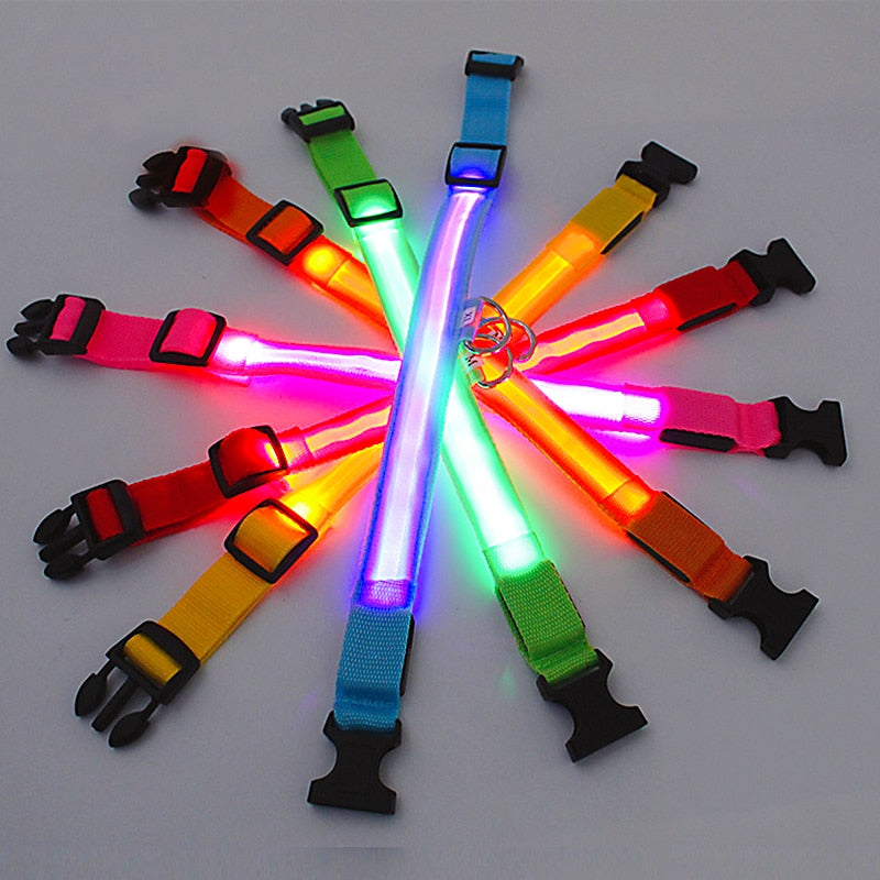 Collar para perro ajustable con luz LED