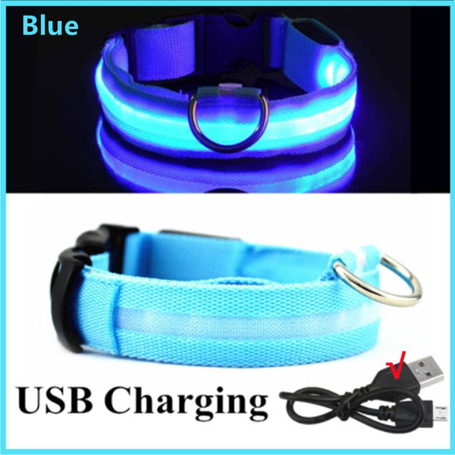 Collar para perro ajustable con luz LED