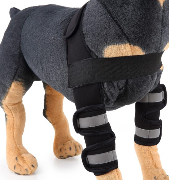 Rodillera y protector de pata para perros para la recuperación de lesiones